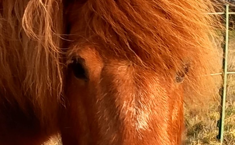 2023 – My Weekly Project