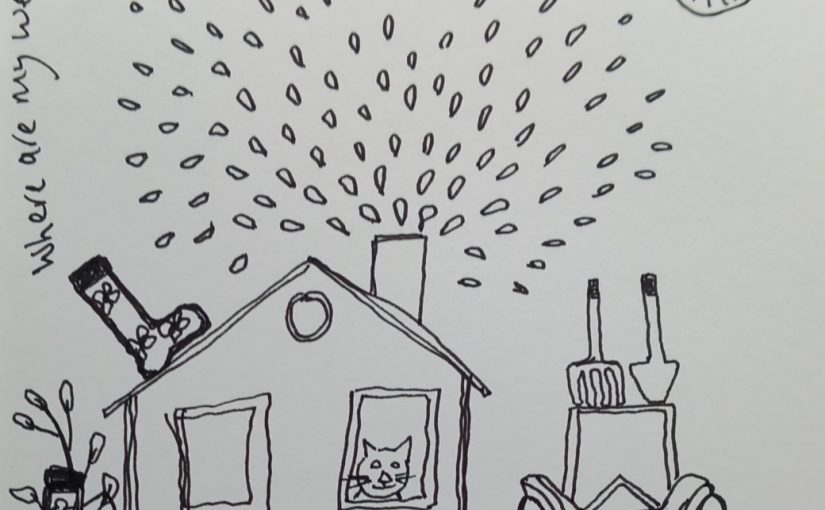 Rain, Rain and More Rain